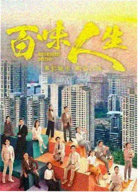 天涯社区慢综艺推荐